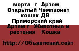 3 марта, г. Артем - Открытый Чемпионат кошек ДВ. - Приморский край, Артем г. Животные и растения » Кошки   